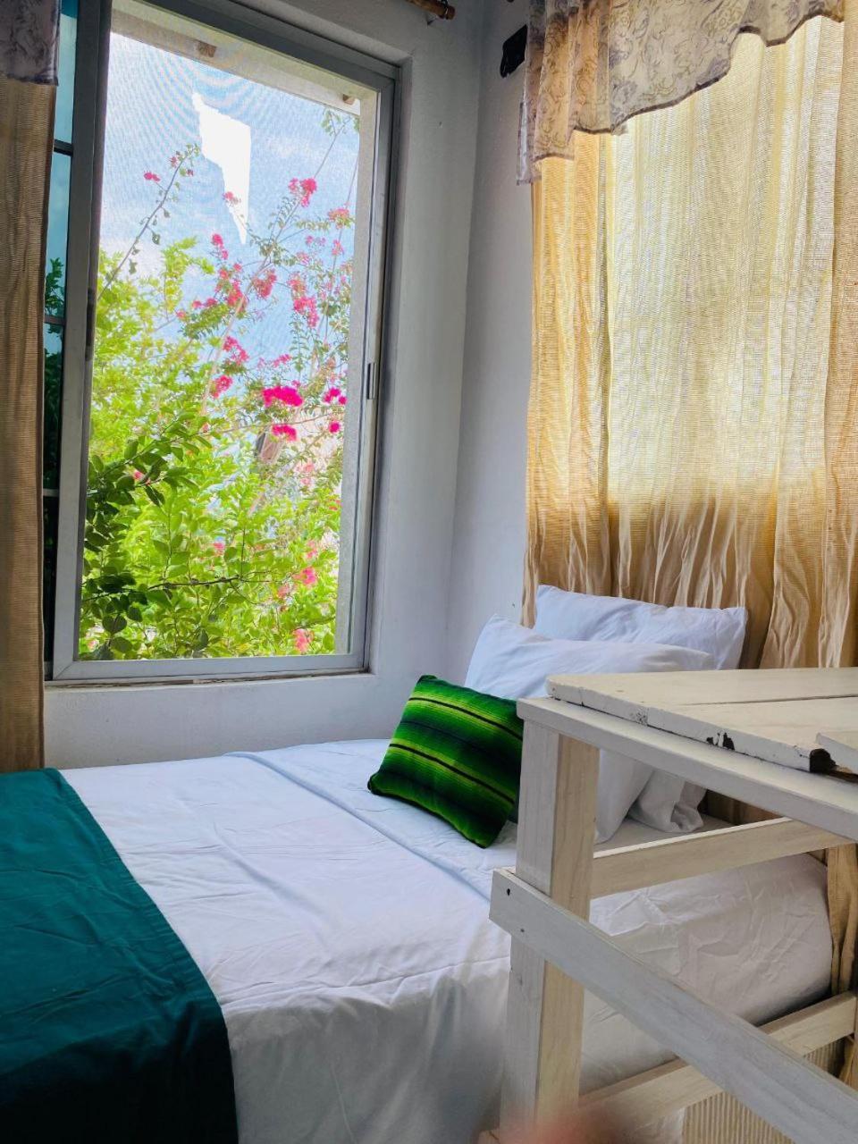 Hotel Casa Mima à Flores Extérieur photo