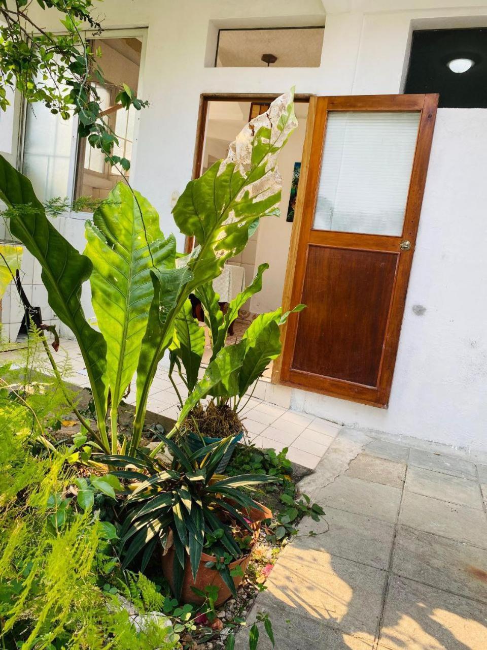 Hotel Casa Mima à Flores Extérieur photo